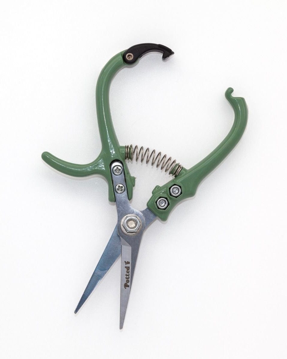East End Flower Market Indoor Snips