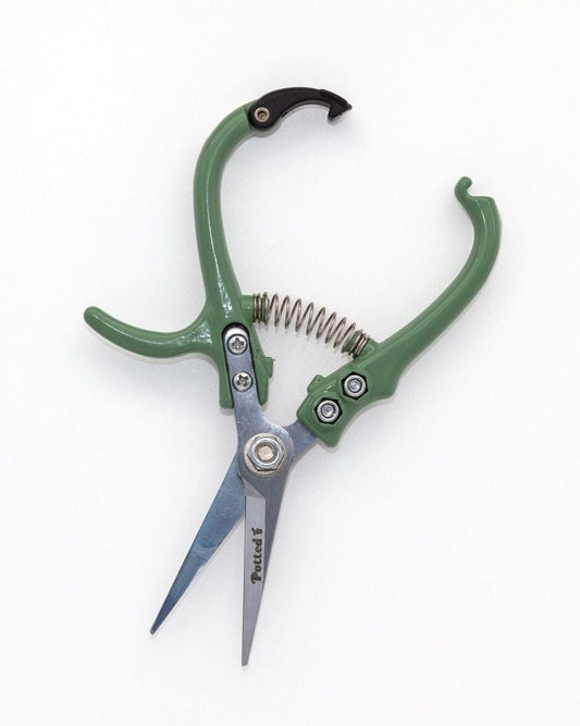 East End Flower Market Indoor Snips