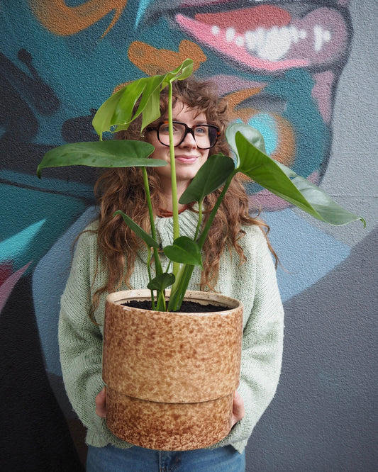 East End Flower Market Leon Monstera