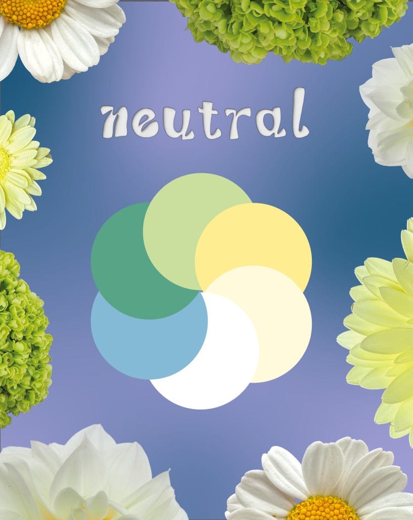 Neutral Florist Choice Bouquet | East End Flower Market