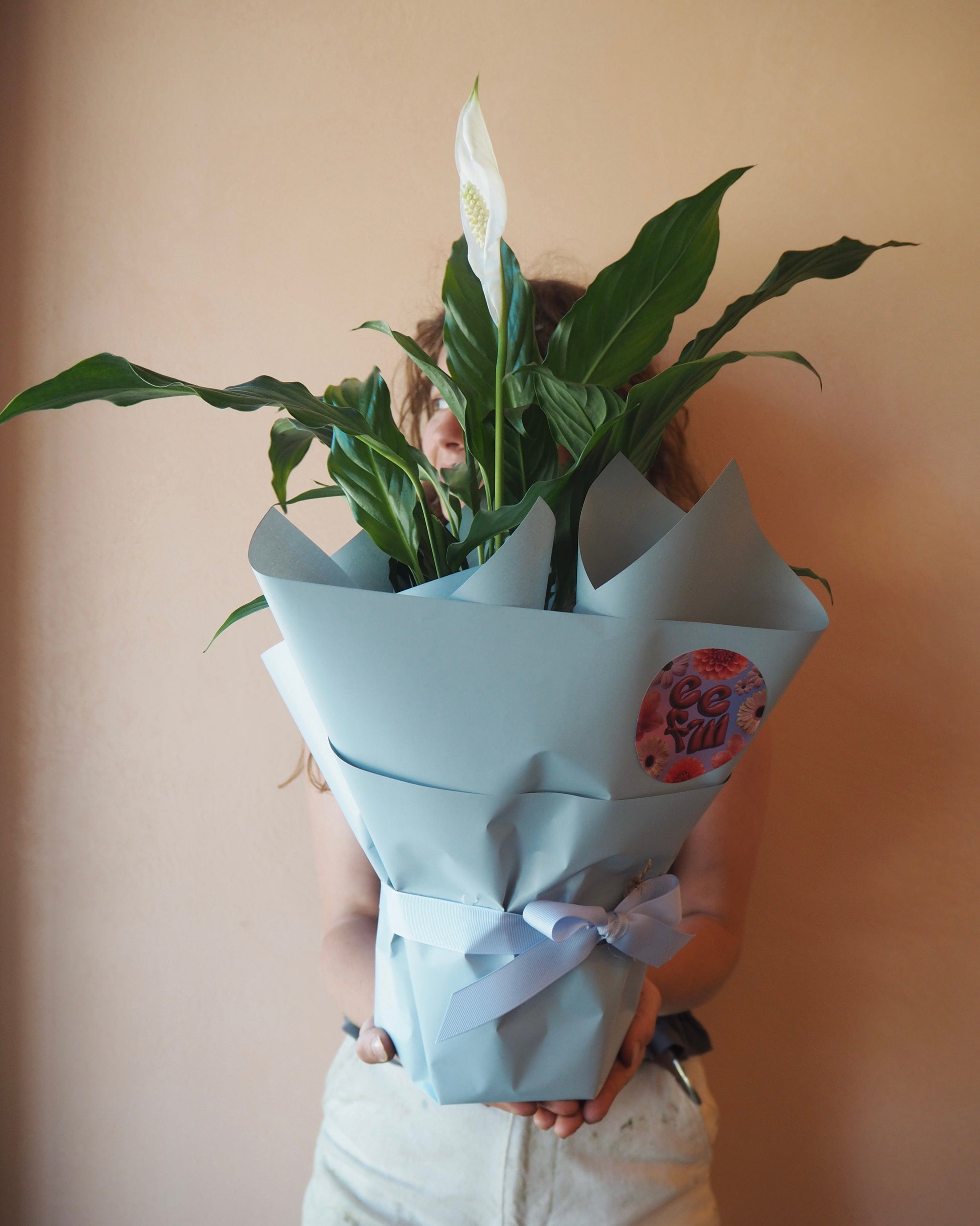 East End Flower Market Peace Lily