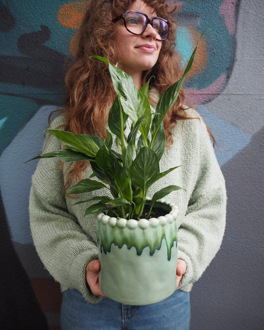 East End Flower Market Pip Peace Lily