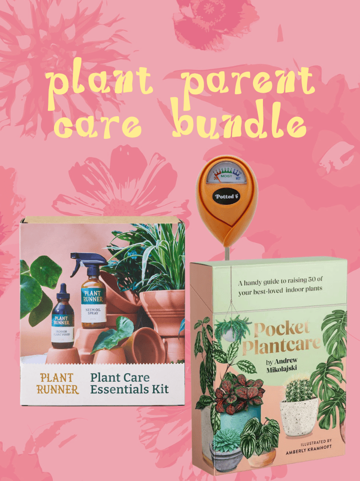 East End Flower Market Plant Parent Care Bundle