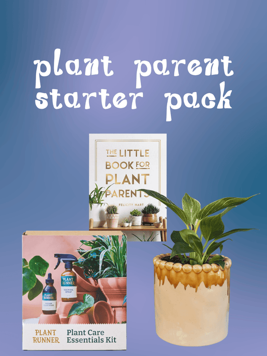 East End Flower Market Plant Parent Starter Pack