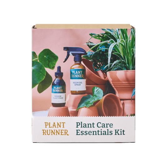East End Flower Market Plant Runner Plant Care Essentials Kit
