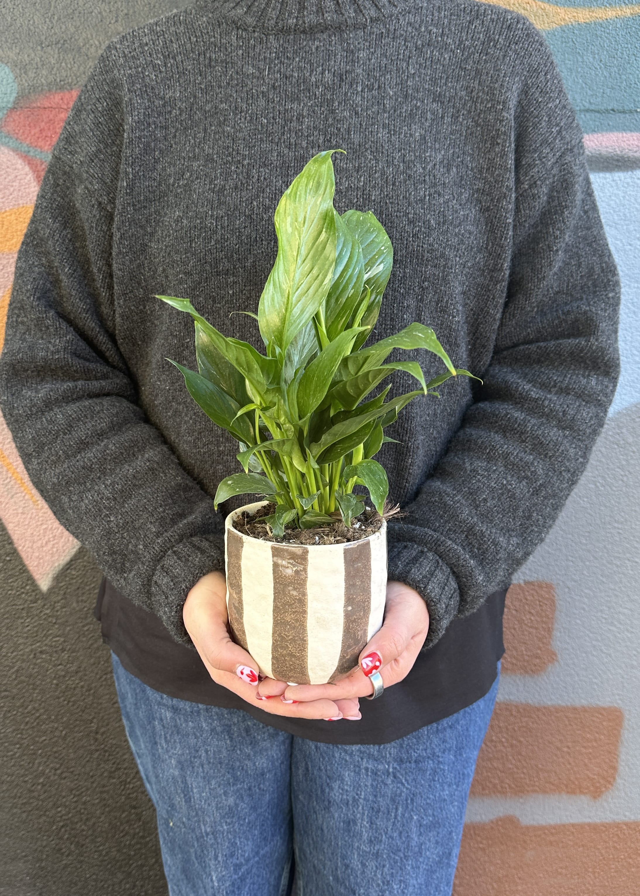 East End Flower Market Rayas Peace Lily
