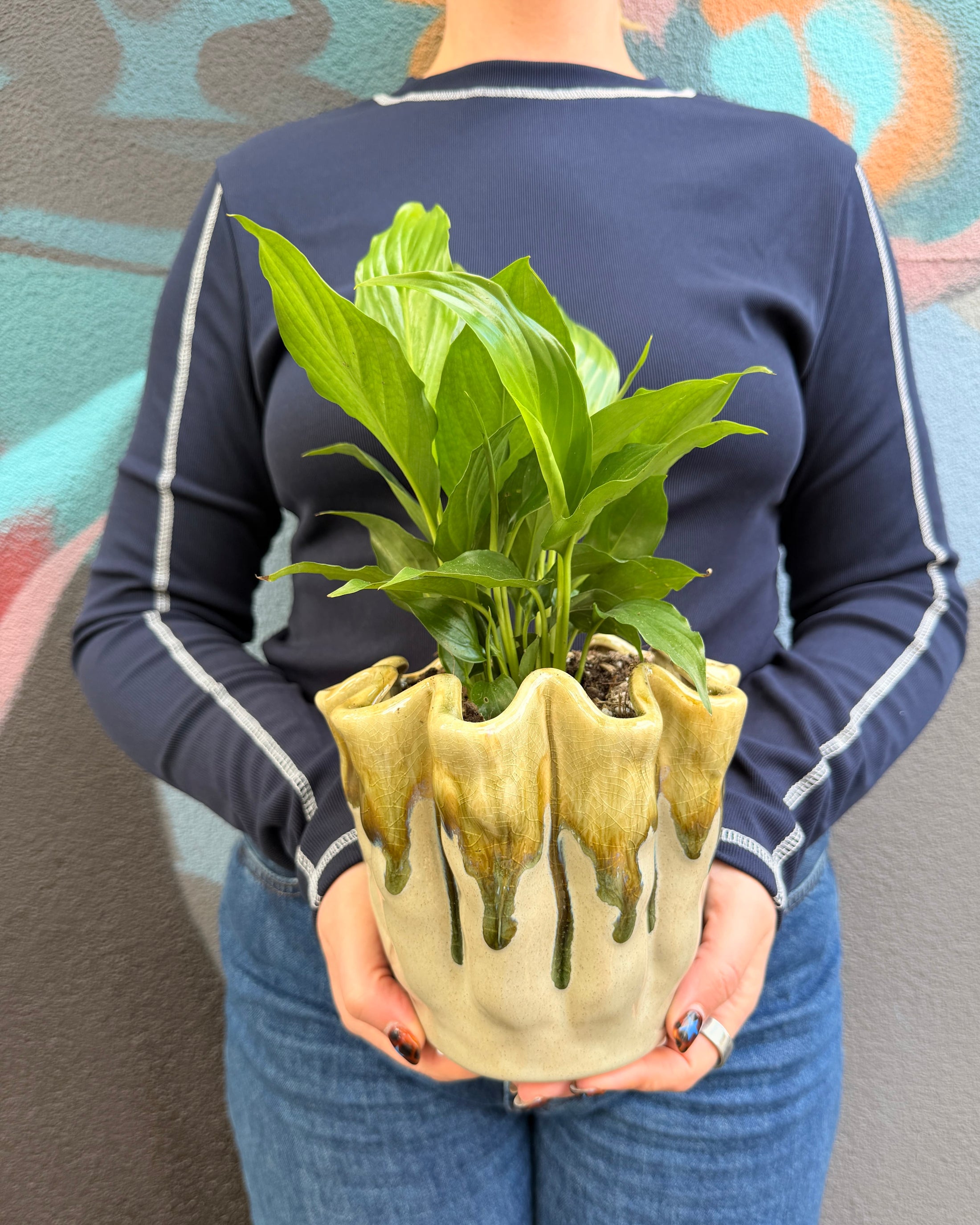 East End Flower Market Ruffle Peace Lily