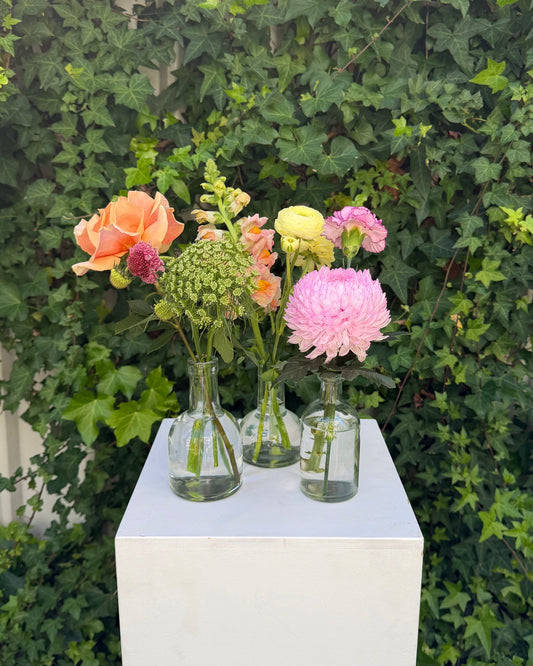 East End Flower Market Soft Hue Clear Bud Vase Cluster