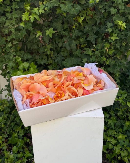 East End Flower Market Soft Hue Rose Petals – Wedding Tray