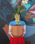 Load image into Gallery viewer, East End Flower Market Terracotta Monstera Large
