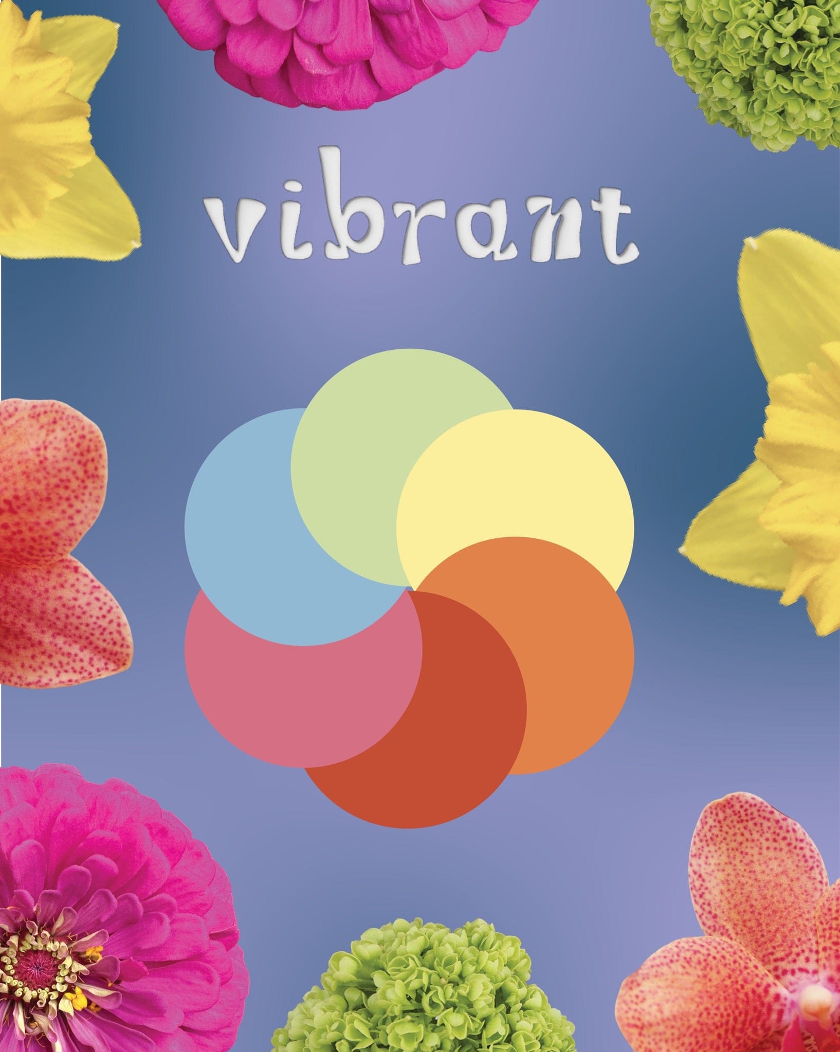 Vibrant Florist Choice Bouquet | East End Flower Market