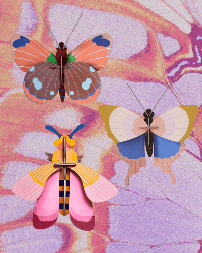 East End Flower Market Wall Art Butterflies