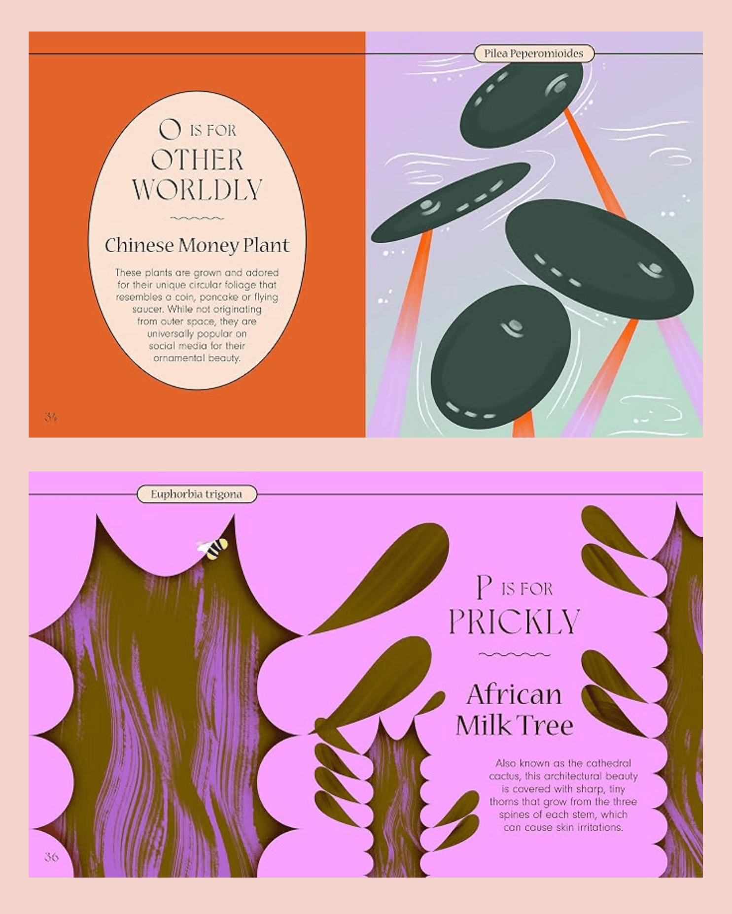 HarperCollins Publishers Australia Plantphabet 9781460760604
