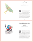 Load image into Gallery viewer, HarperCollins Publishers Australia Year Of Garden Bees And Bugs 9781849947954
