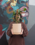 Load image into Gallery viewer, Portland Devil's Ivy
