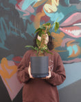 Load image into Gallery viewer, Portland Devil's Ivy
