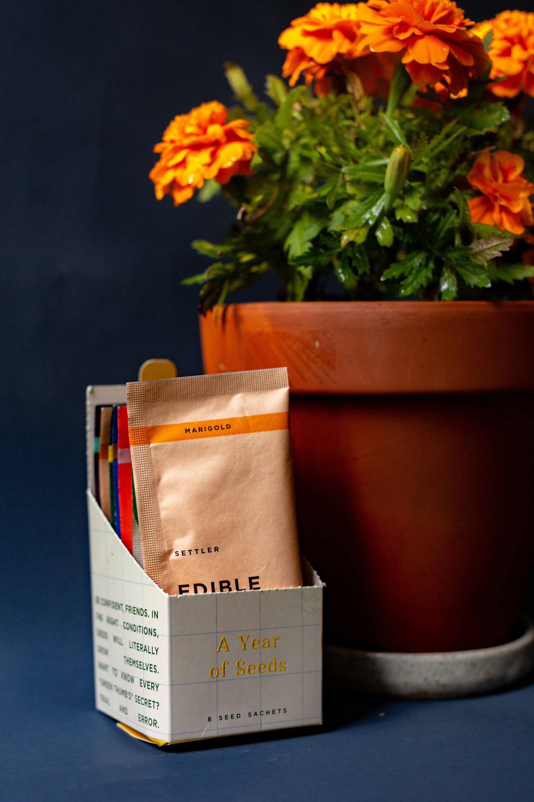 Settler Hives Settler Hives Year of Seeds plant SETBOX-AYEAROFSEEDS