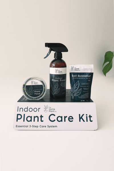 The Home Plant Co Indoor Plant Care Kit PC004