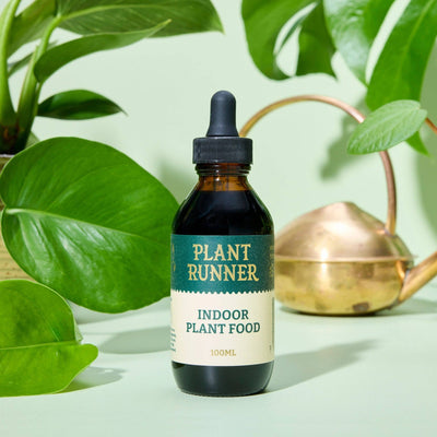The Plant Runner Plant Care Indoor Plant Food PR-100A