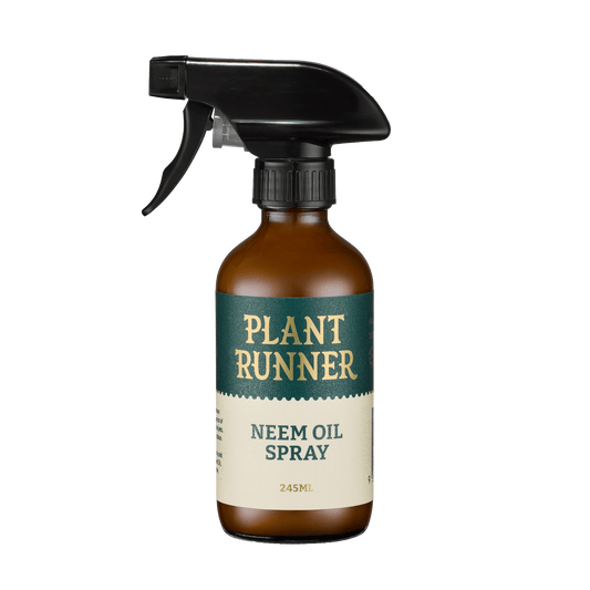 The Plant Runner Plant Runner Neem Oil Leaf Shine PR-102A