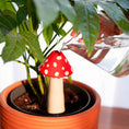 Load image into Gallery viewer, Until Pty Ltd DOIY Amanita Watering System DY-SWAAMRE
