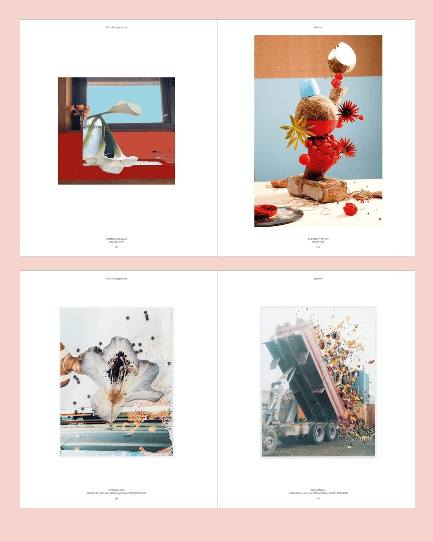 WONDER IMPORTS AUSTRALIA Flora Photographica Book