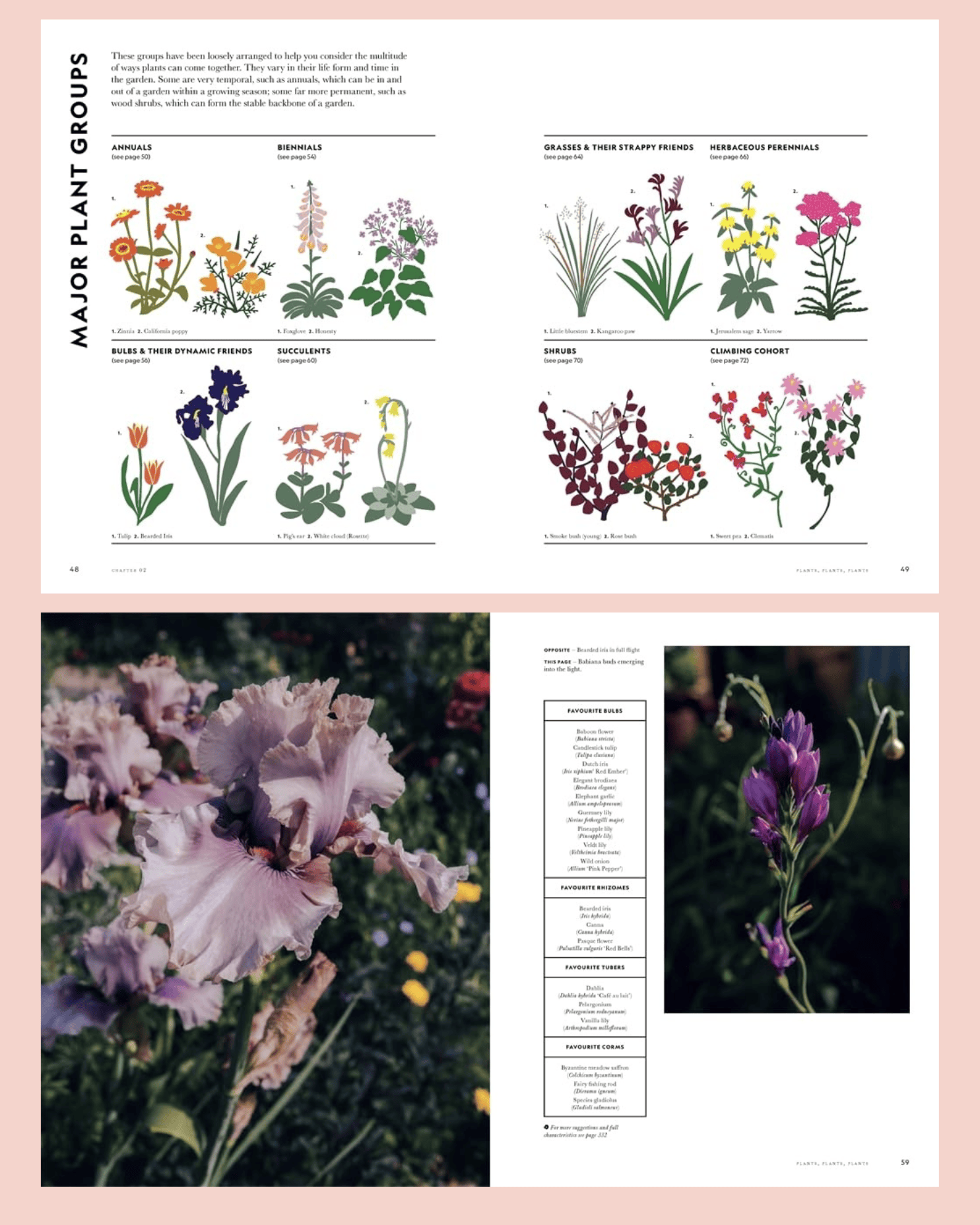 WONDER IMPORTS AUSTRALIA Flower Power Book